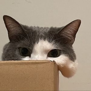 Meet your Posher, Grace